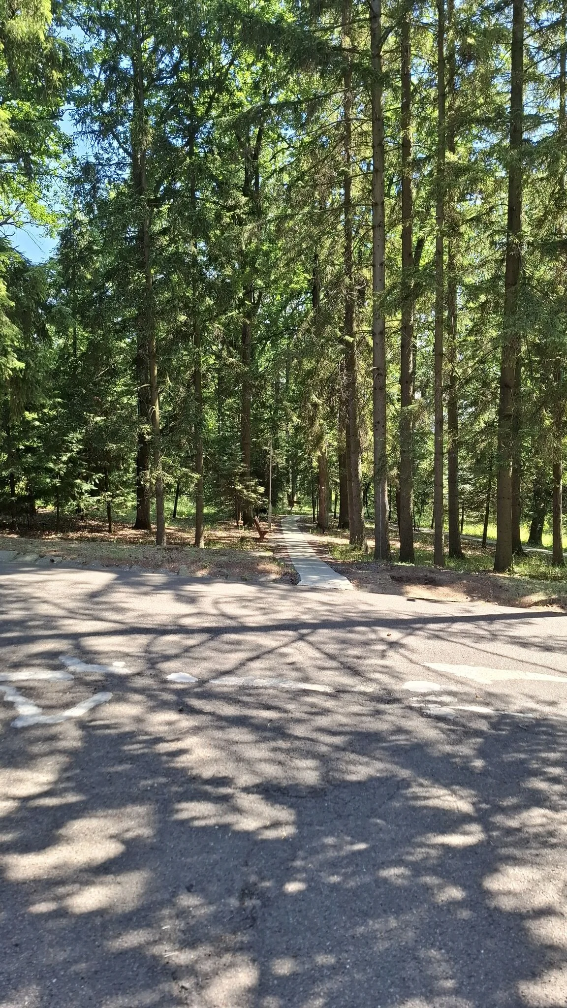 Mátraházai Akadémiai Tudós Üdülő - foto 10