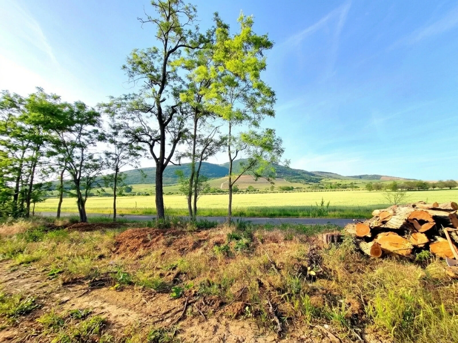 Lavender Vendégház Golop – Golop, Ungaria
