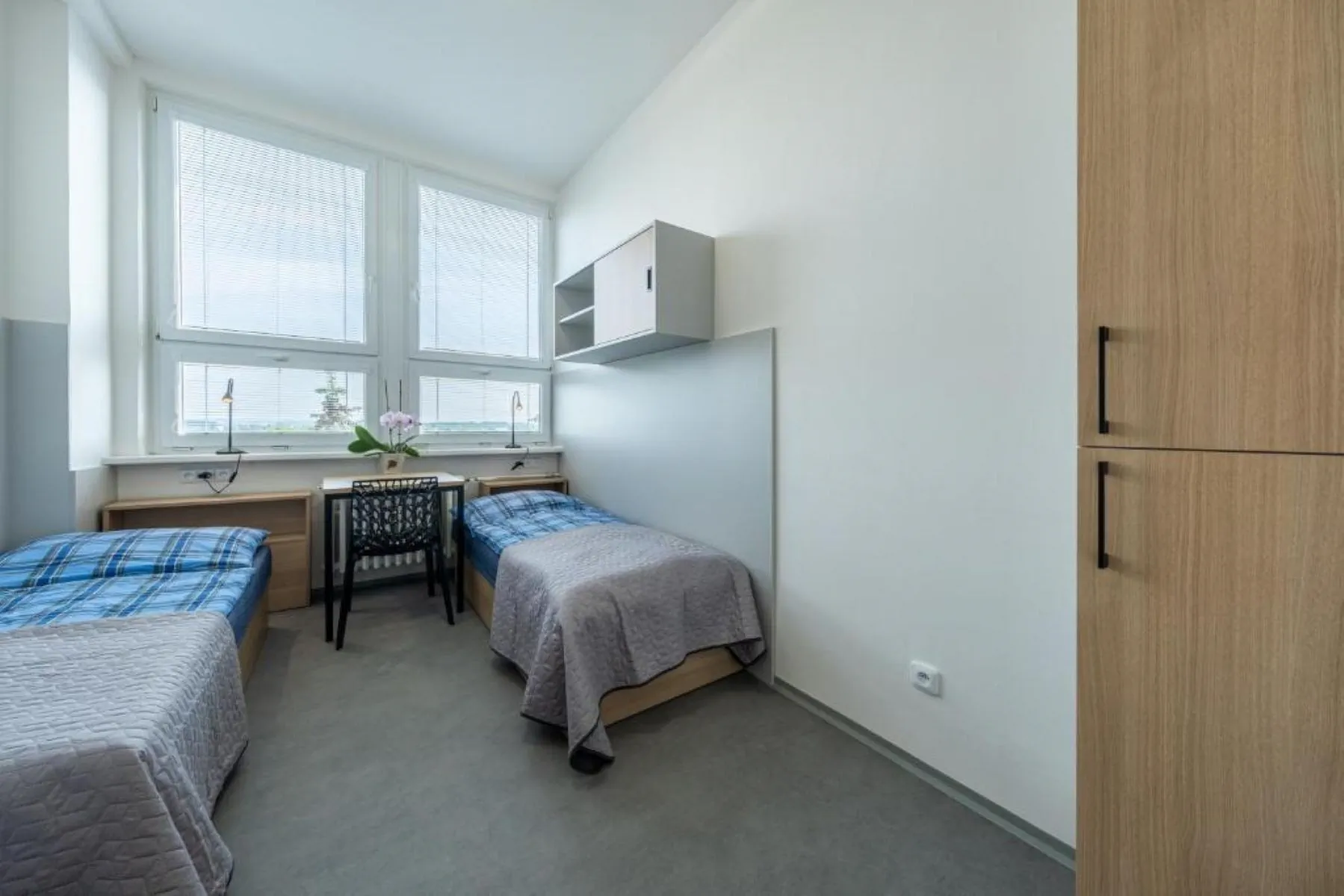 Penzion BIG HOUSE Praha – Praha, Česká republika
