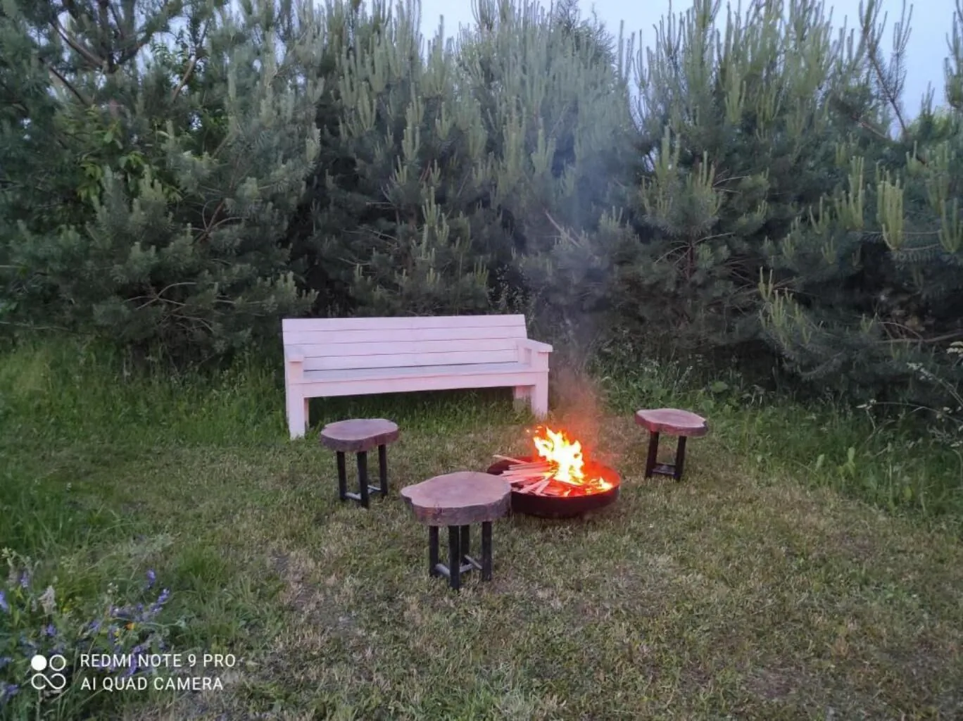 Domki w brzozach Brajniki – Brajniki, Polonia