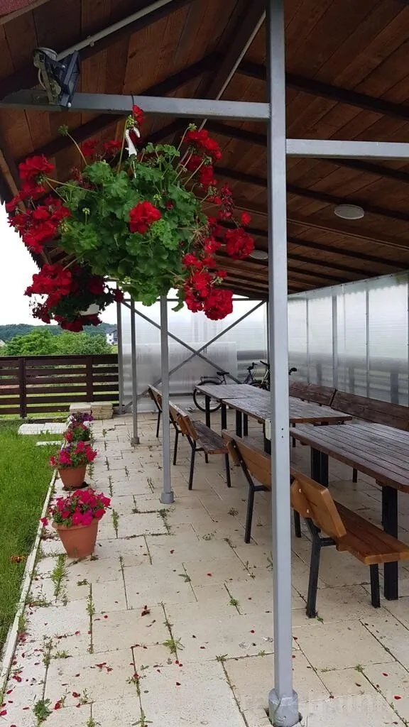 Pensiunea Cara Băile Felix – Băile Felix, România