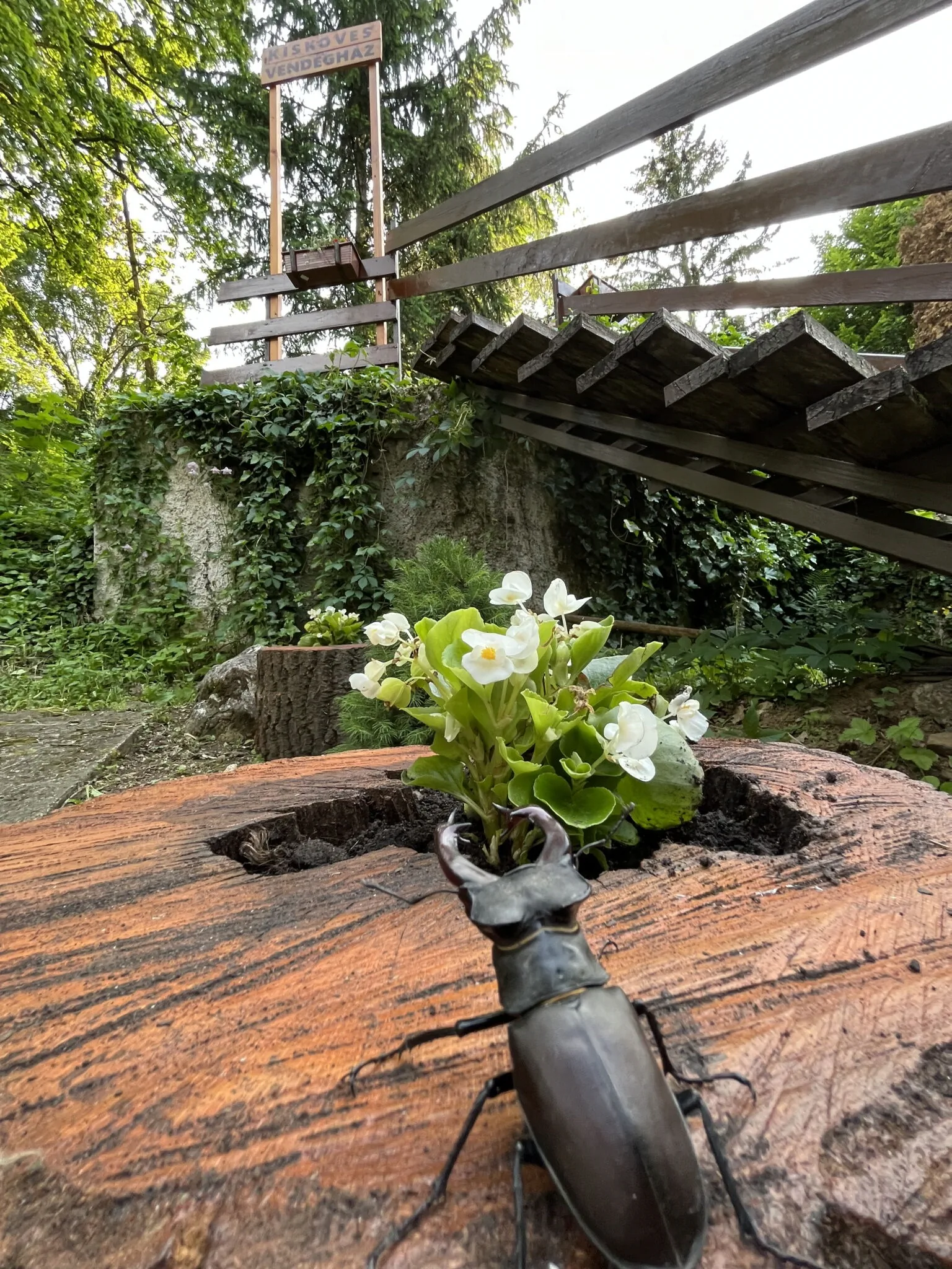 Kisköves Vendégház Miskolctapolca – Miskolctapolca, Ungaria