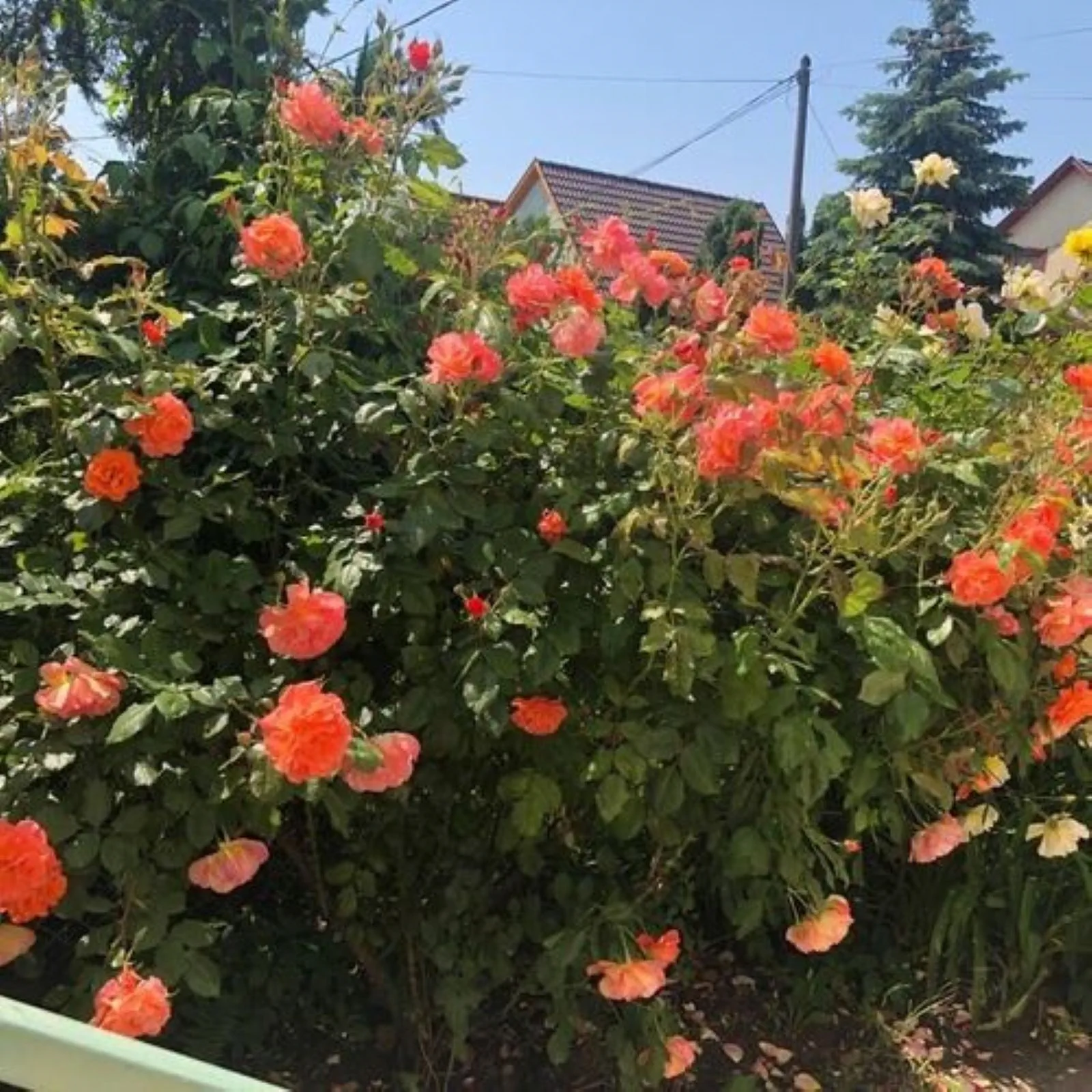 Ádám és Anett Vendégház Mezőkövesd – Mezőkövesd, Maďarsko
