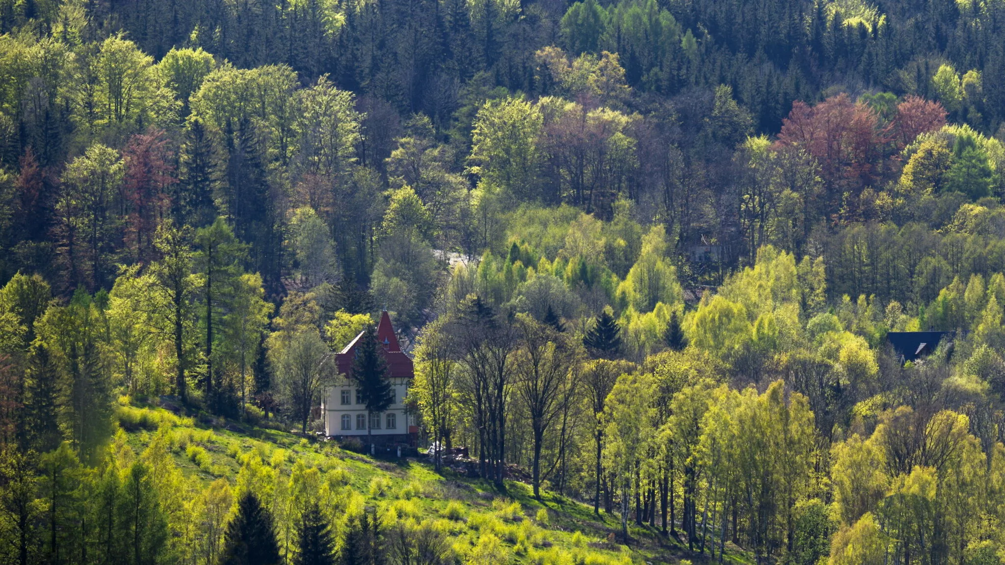 Willa Świeradówka Apartamenty Świeradów-Zdrój – Świeradów-Zdrój, Polonia