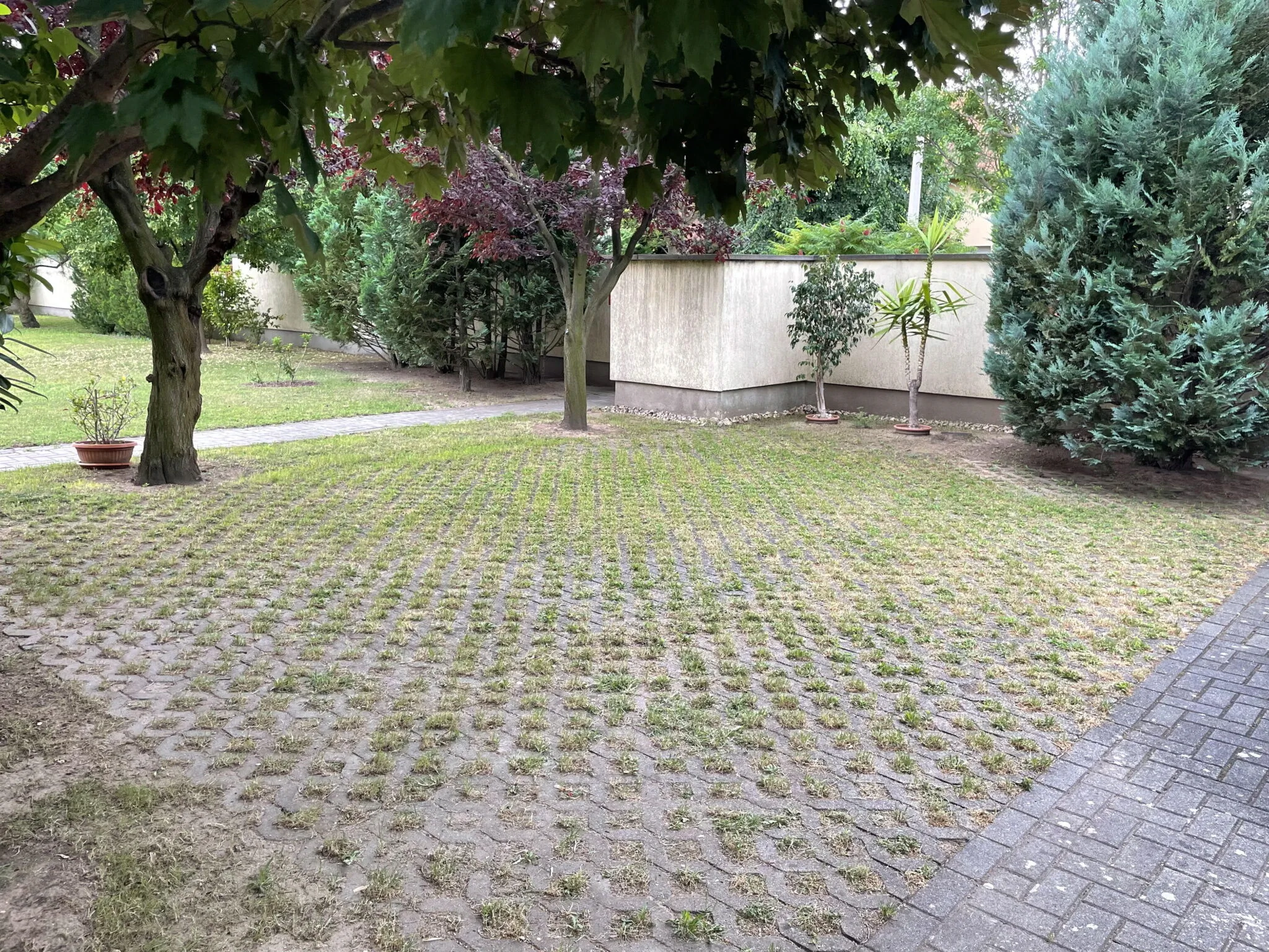 Nefelejcs Apartman Siófok – Siófok, Ungaria