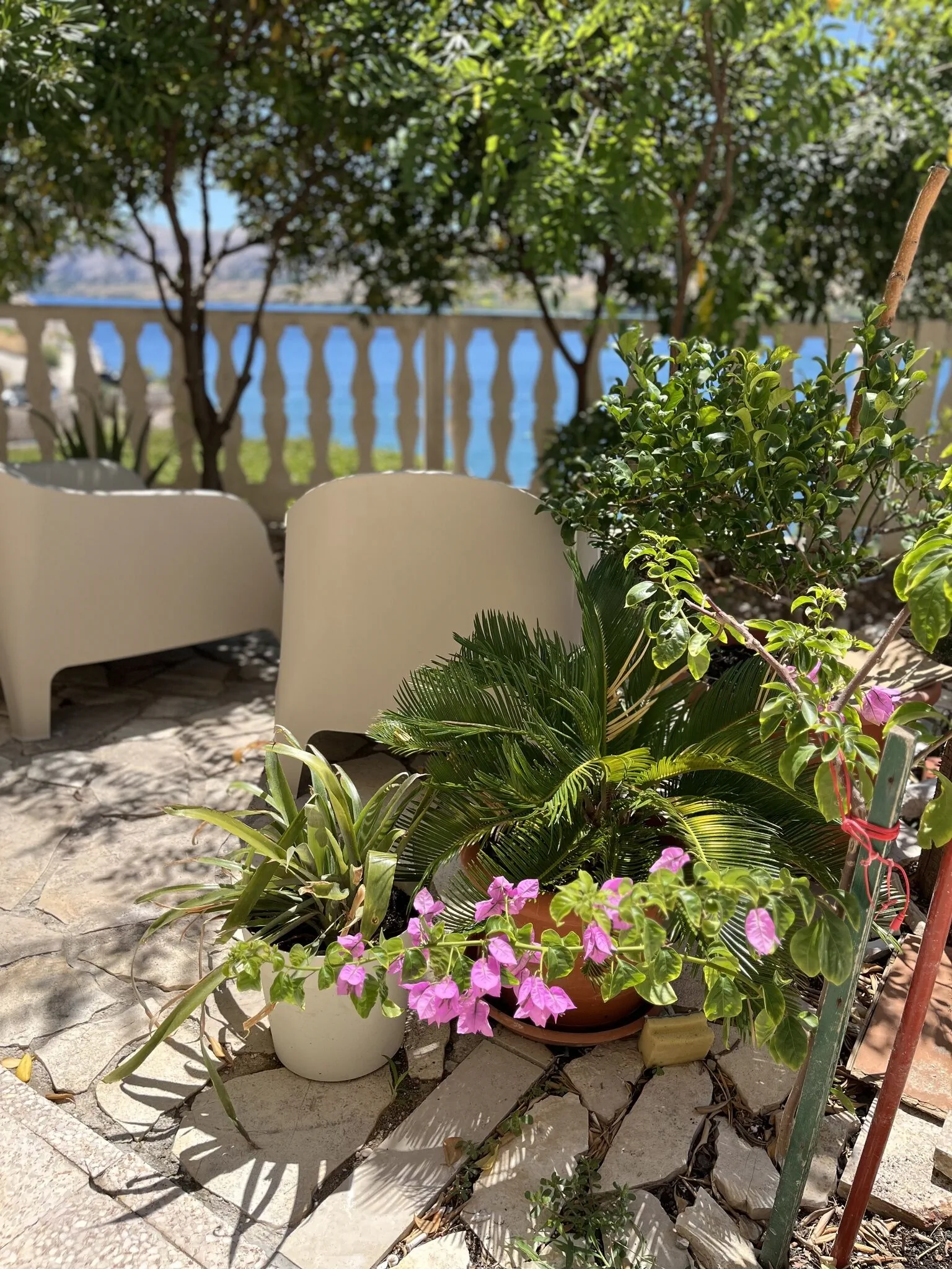 Apartmani Tina Zubovići - foto 5