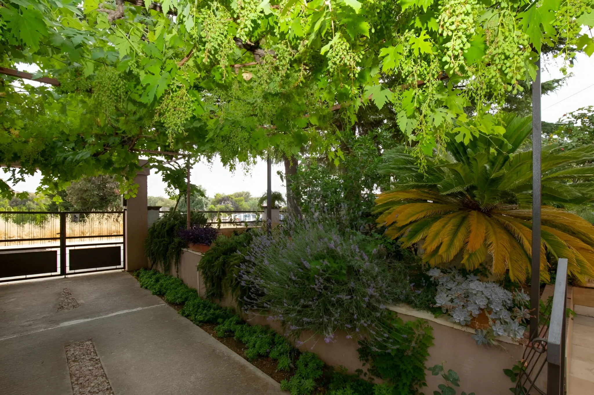 Apartments Bakija Pakoštane – Pakoštane, Chorvatsko