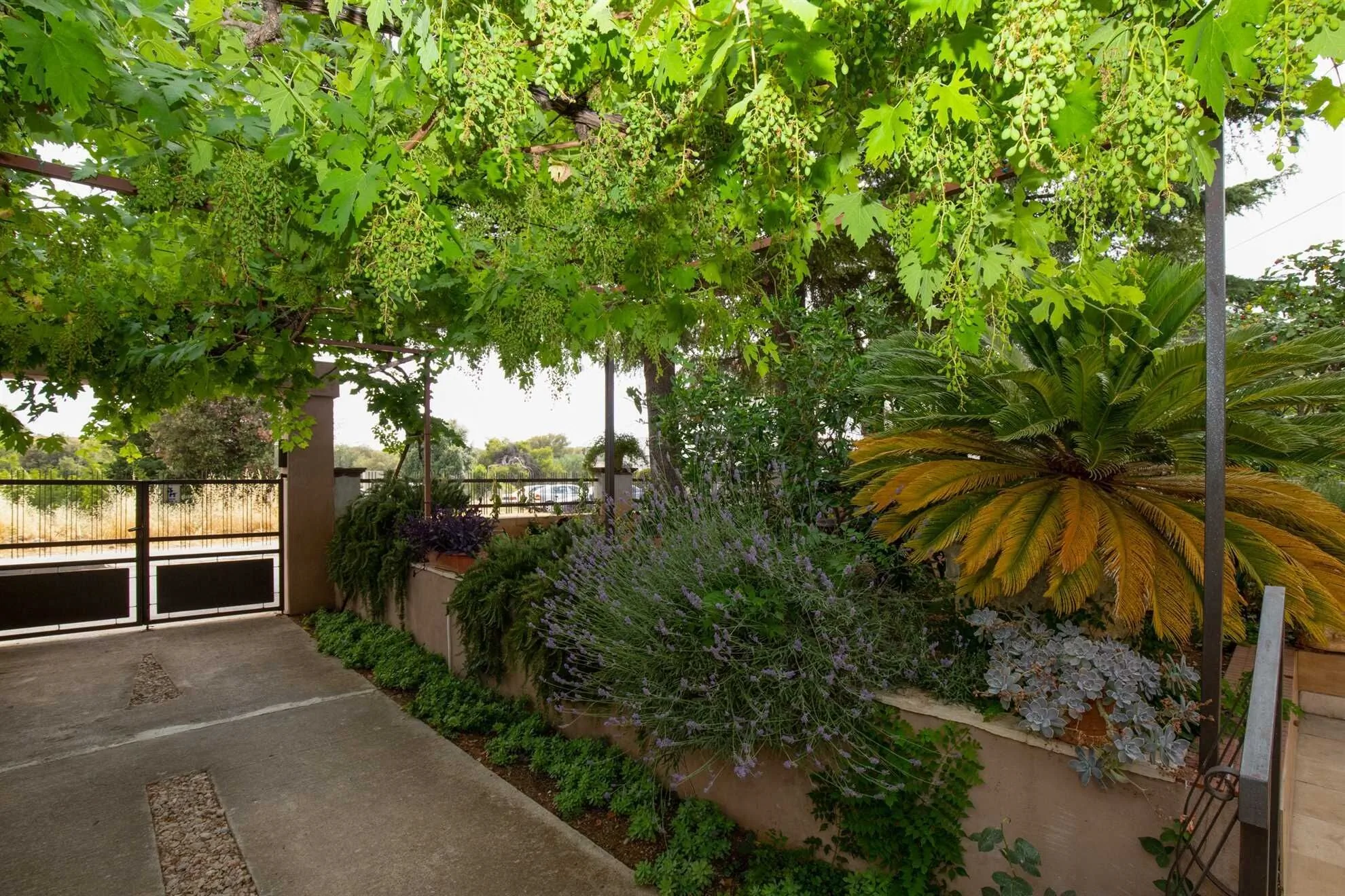 Apartments Bakija Pakoštane – Pakoštane, Chorvatsko