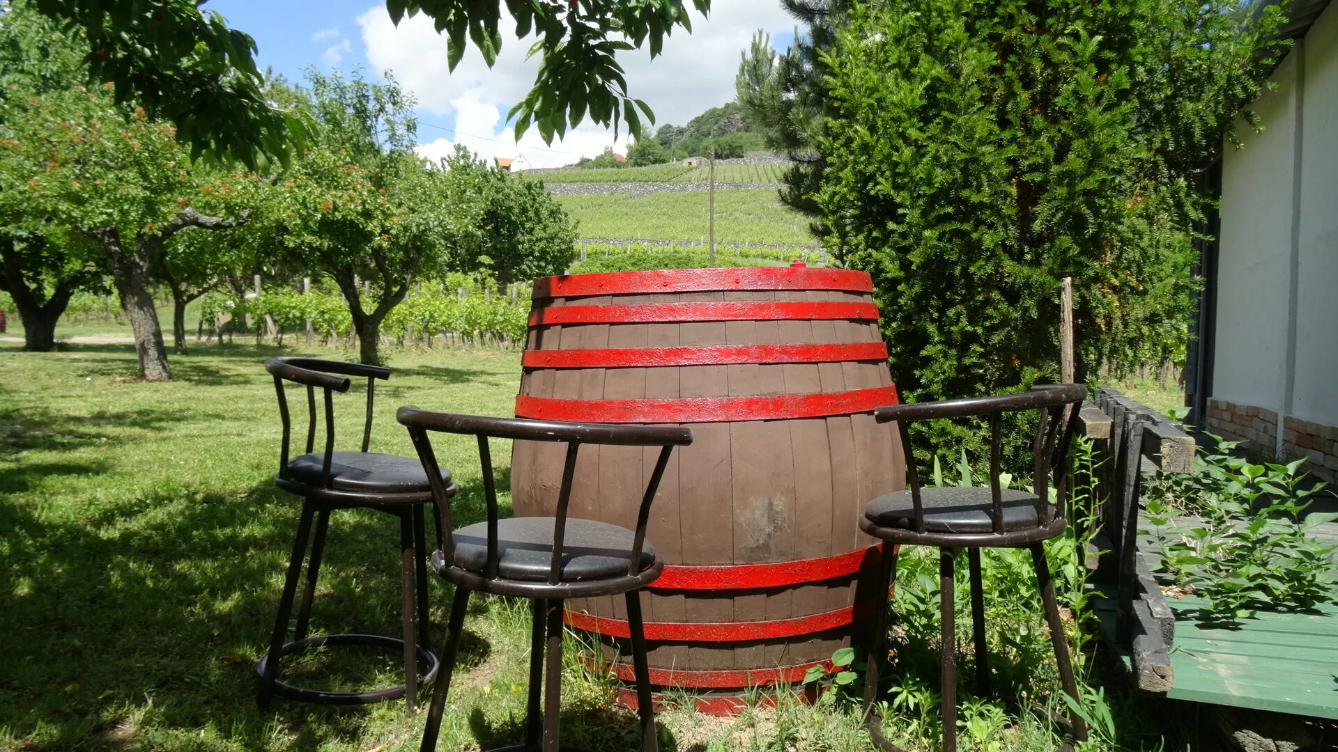 Juhfarkliget Somló - Goldhill Vineyard Lodges – Somlóhegy, Ungaria