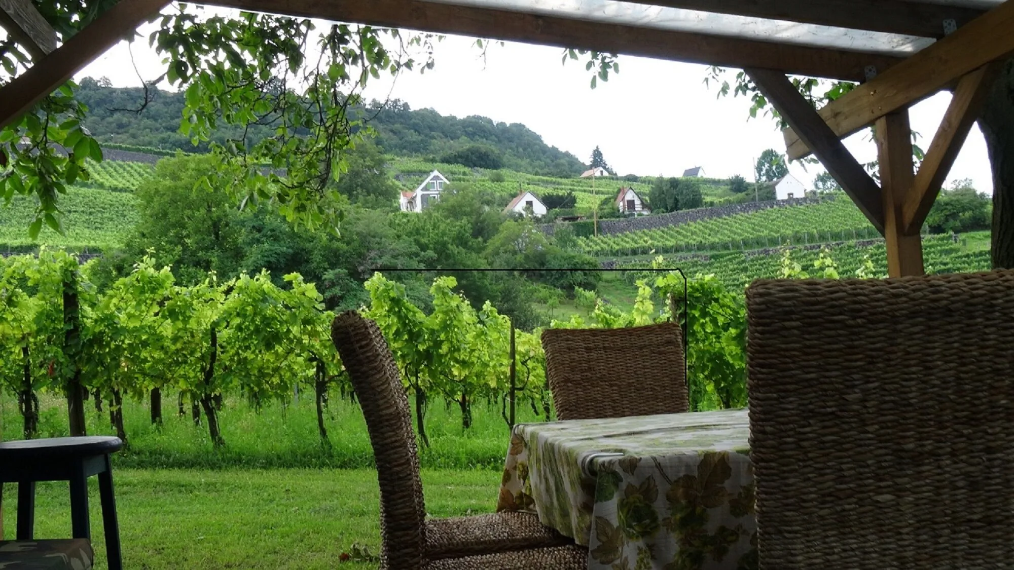 Juhfarkliget Somló - Goldhill Vineyard Lodges – Somlóhegy, Ungaria