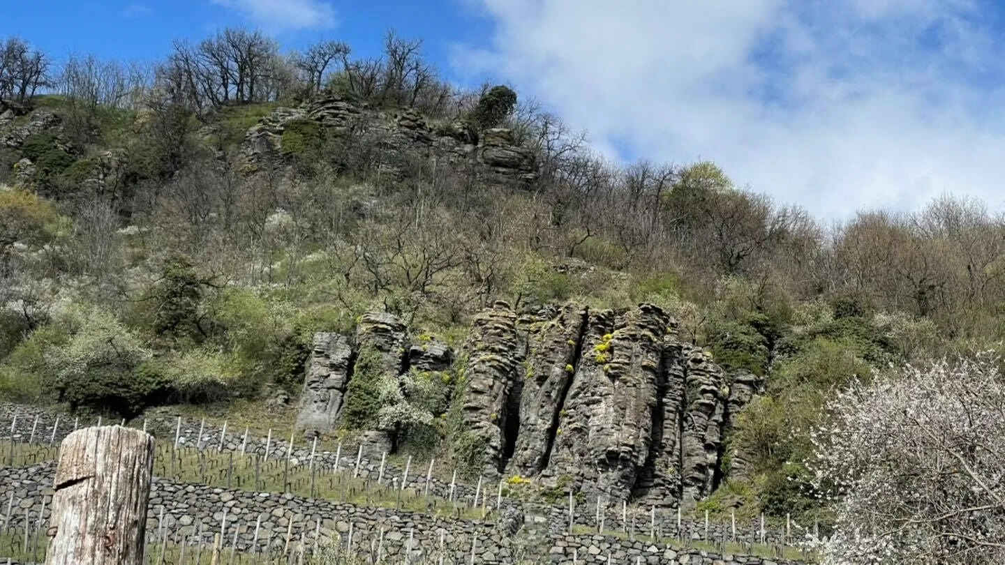 Juhfarkliget Somló - Goldhill Vineyard Lodges – Somlóhegy, Ungaria