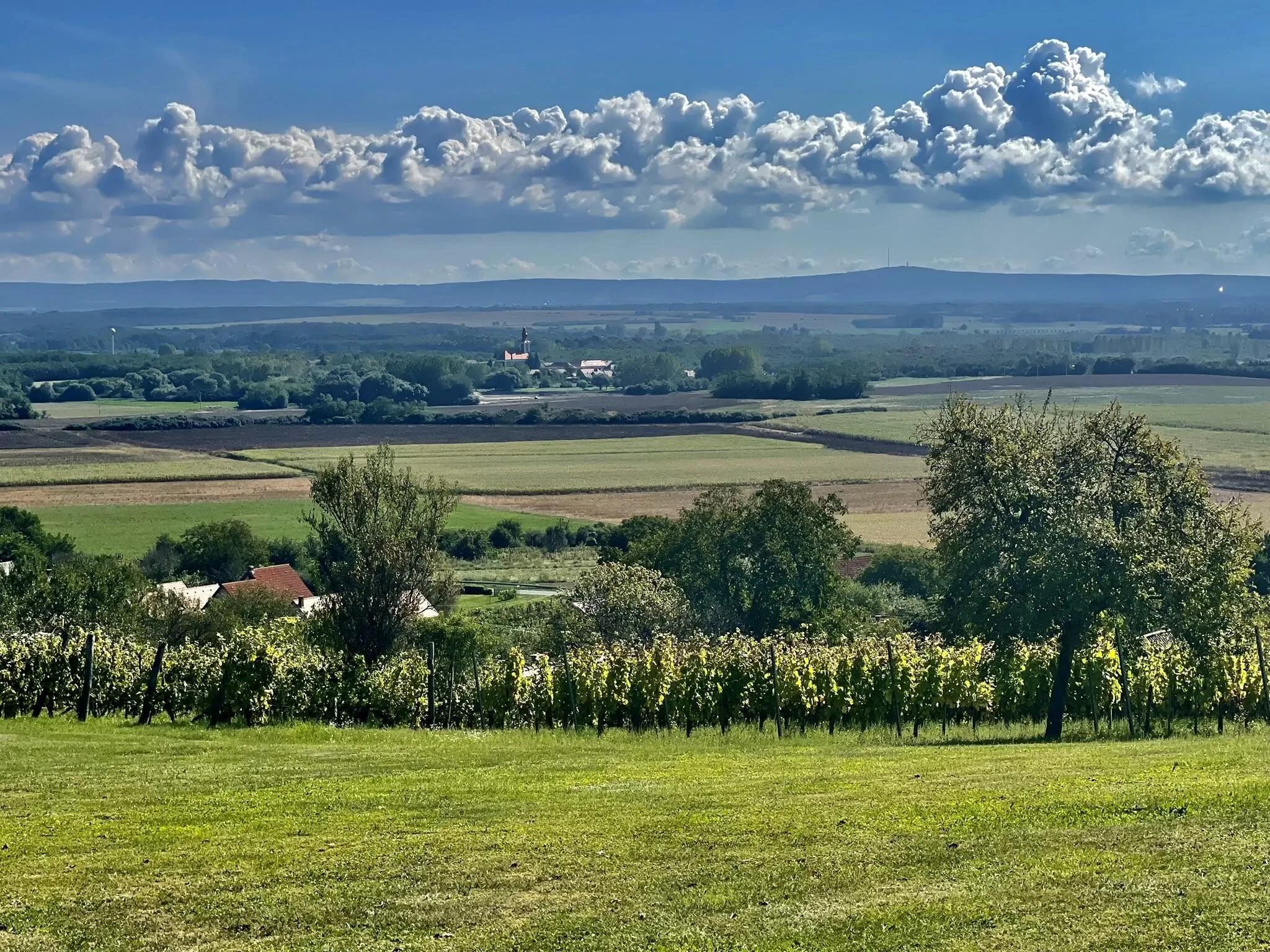 Juhfarkliget Somló - Goldhill Vineyard Lodges – Somlóhegy, Ungaria