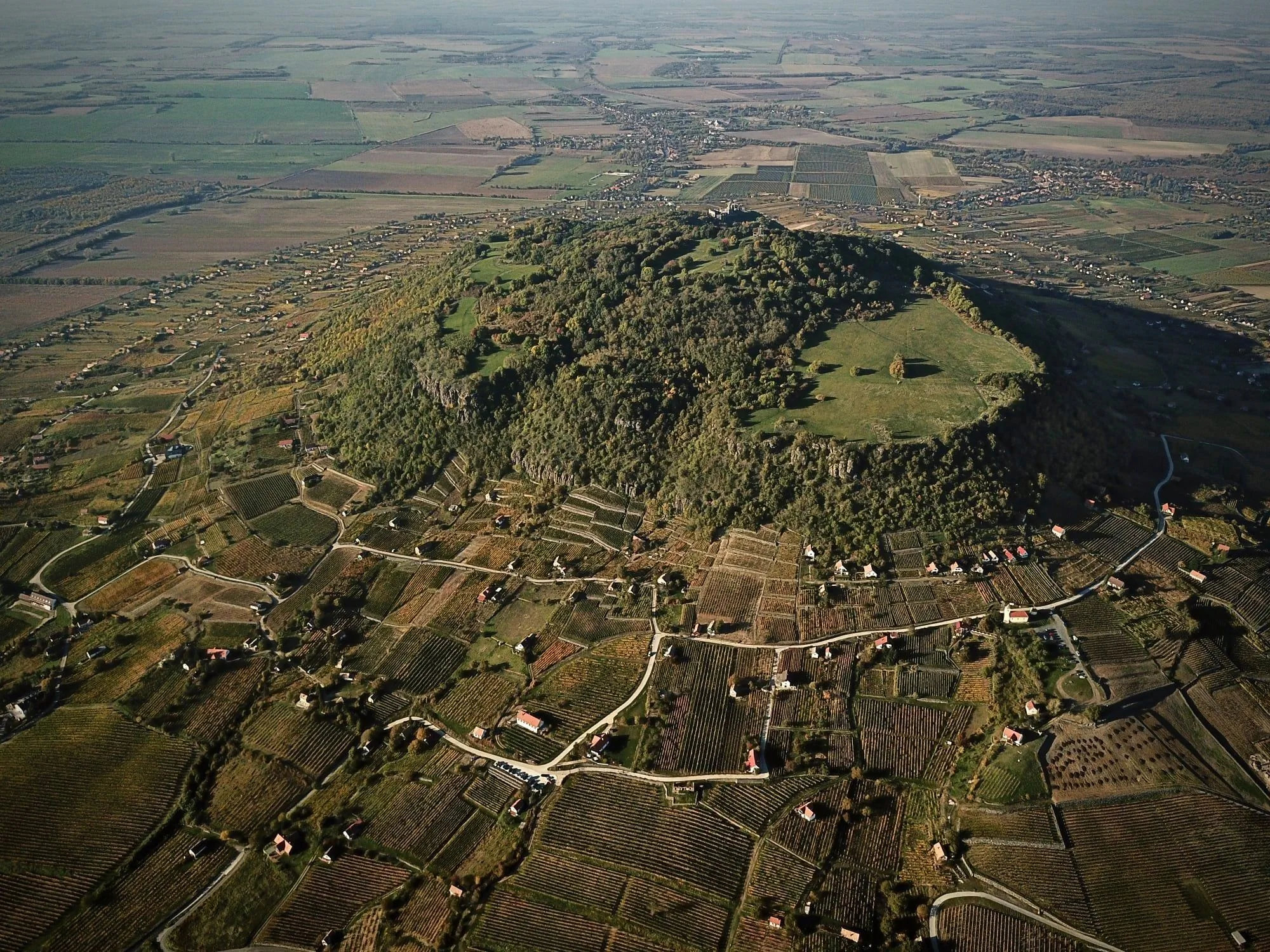 Juhfarkliget Somló - Goldhill Vineyard Lodges – Somlóhegy, Ungaria