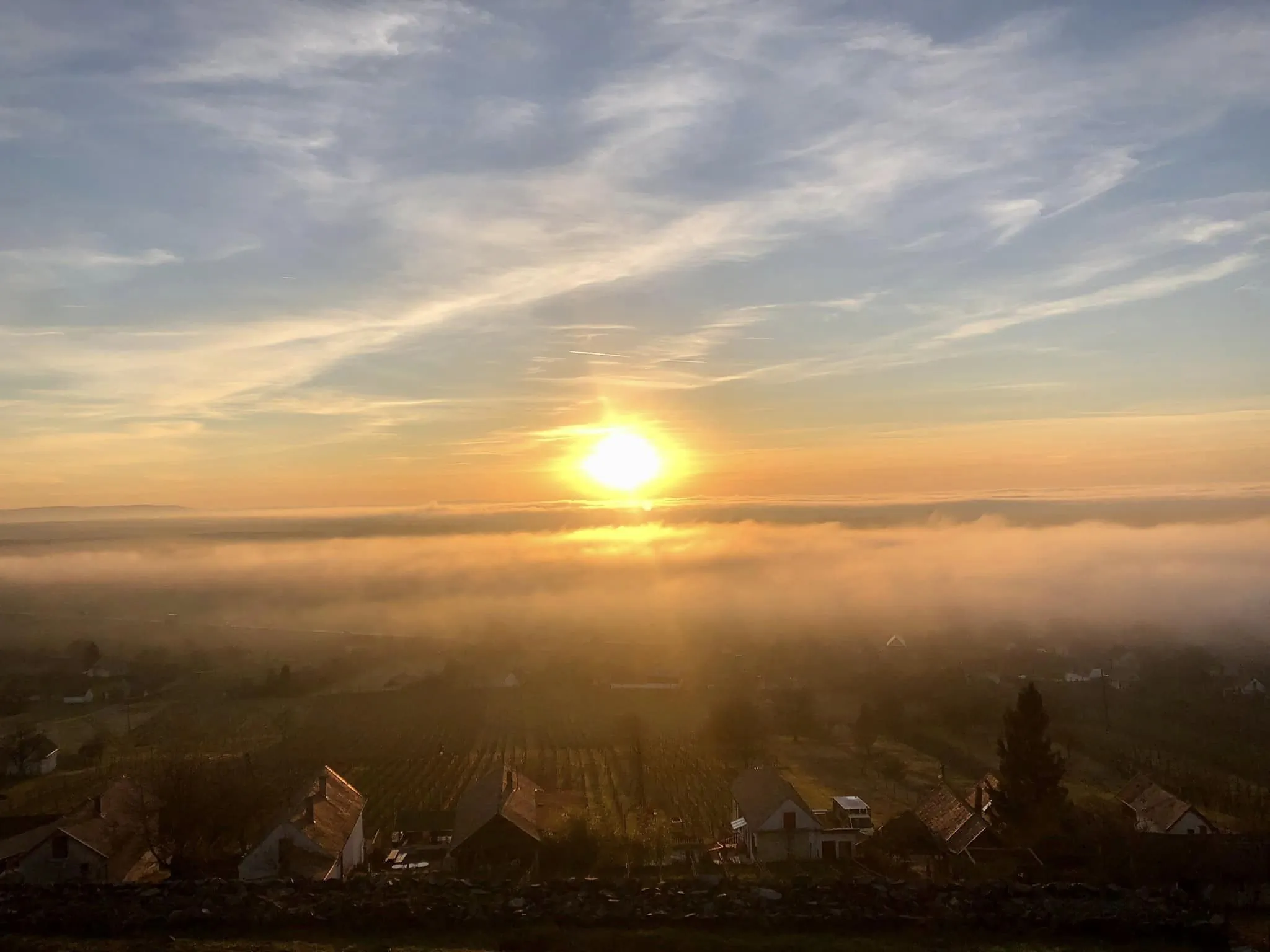 Juhfarkliget Somló - Goldhill Vineyard Lodges – Somlóhegy, Ungaria