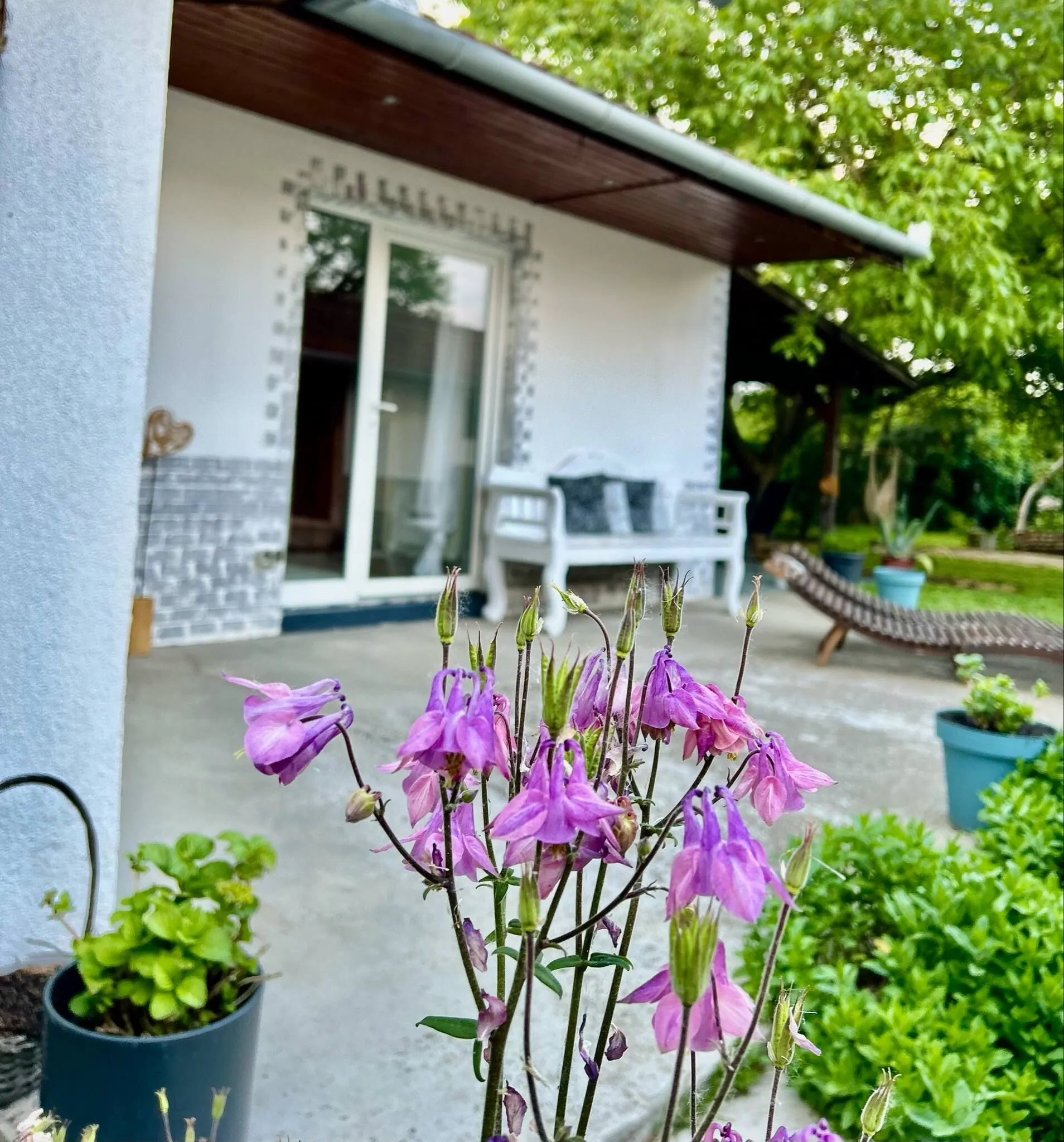 Azúr Vendégház Tiszavalk – Tiszavalk, Ungaria