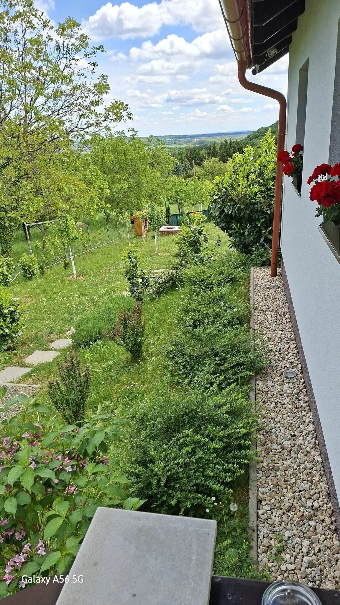 Mónika Vendégház Kőszeg - foto 6