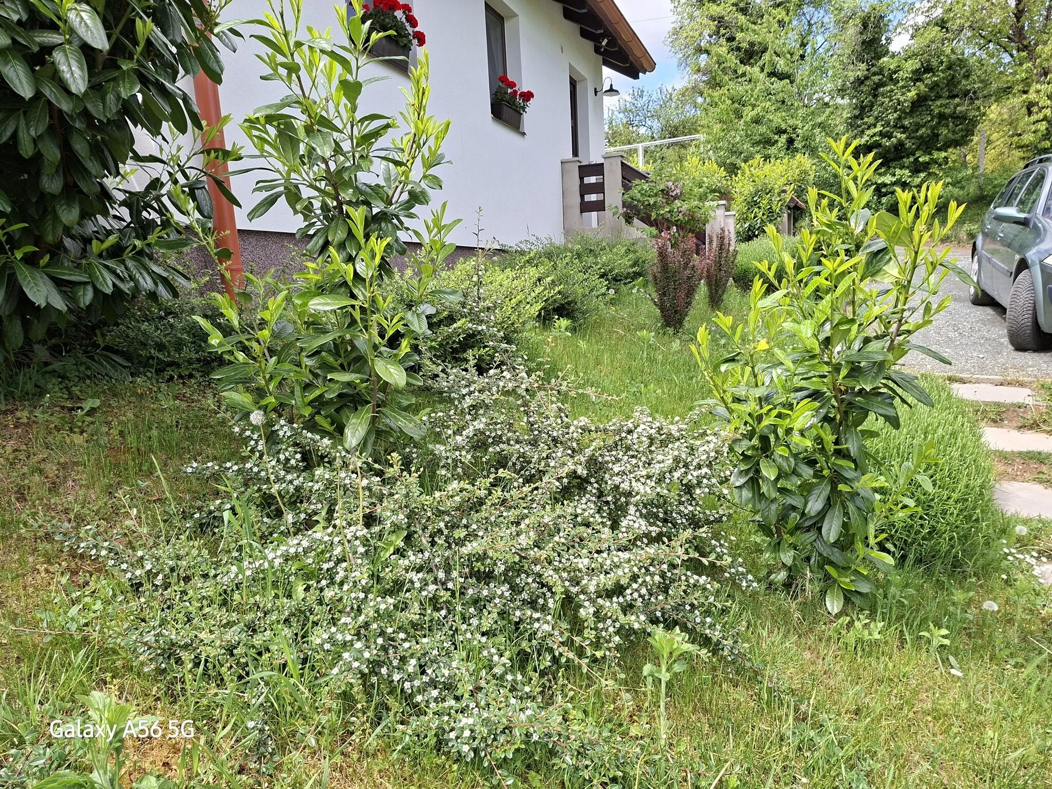 Mónika Vendégház Kőszeg - foto 10