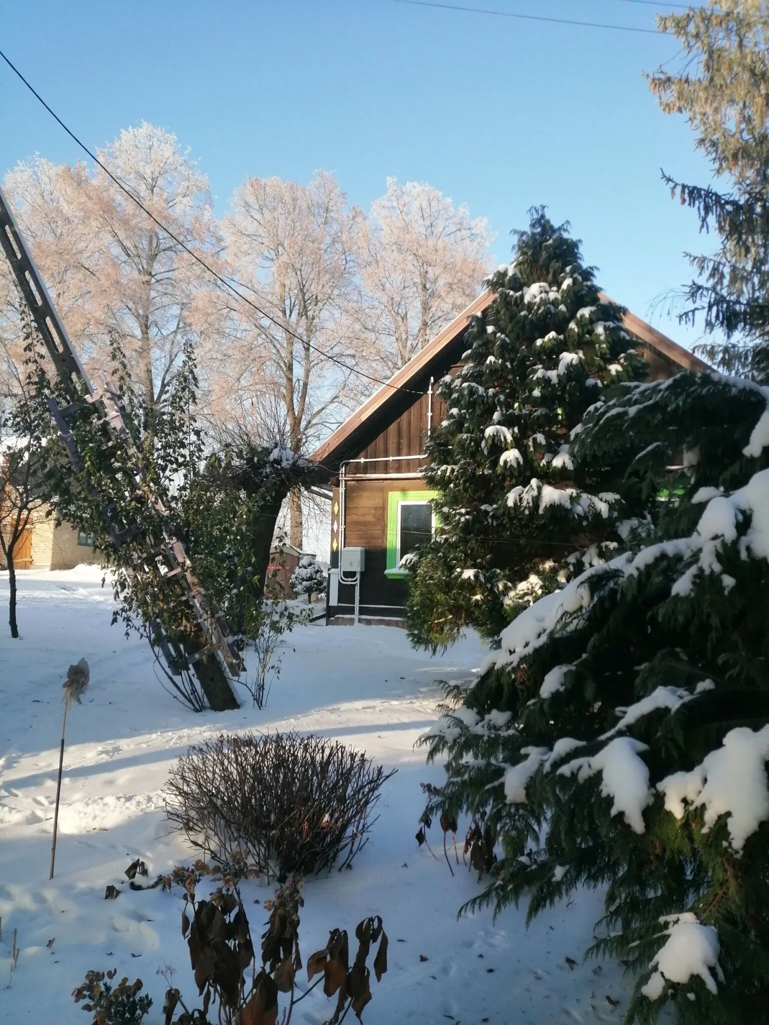 Domek drewniany na wsi "Wiejsko czarodziejsko" Kosaki - foto 10