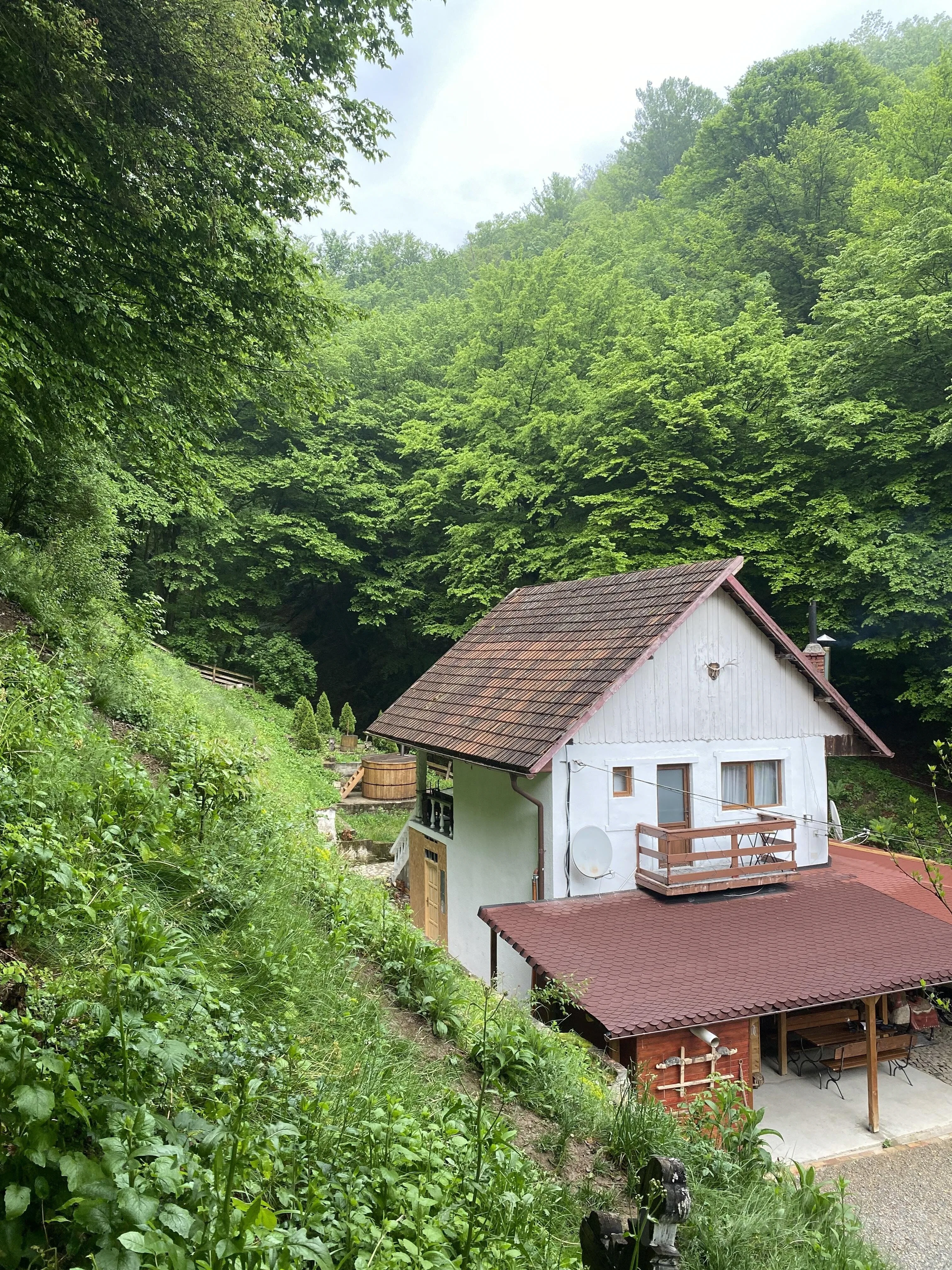 Casuta Din Padure Toplita Hunedoara – Hunedoara, România