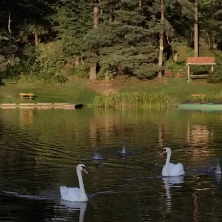 Pokoje "Tajemniczy Ogród" Suwałki – Suwałki, Polonia