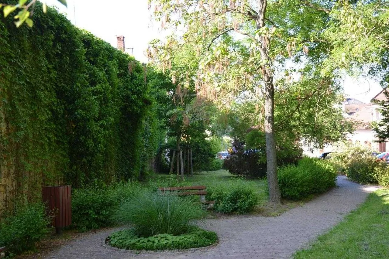 Apartmán Květinový Dům Hluk - foto 8