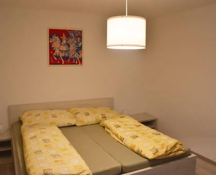 Apartmán Květinový Dům Hluk - foto 10