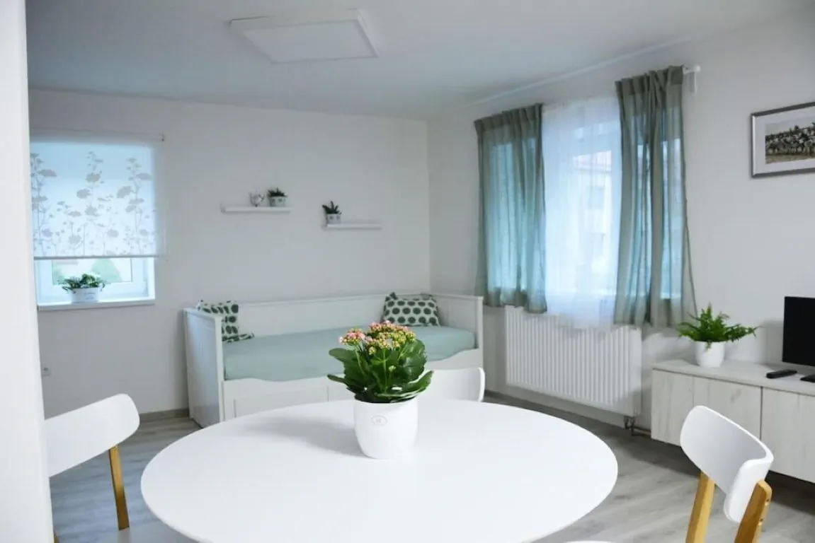 Apartmán Květinový Dům Hluk - foto 1