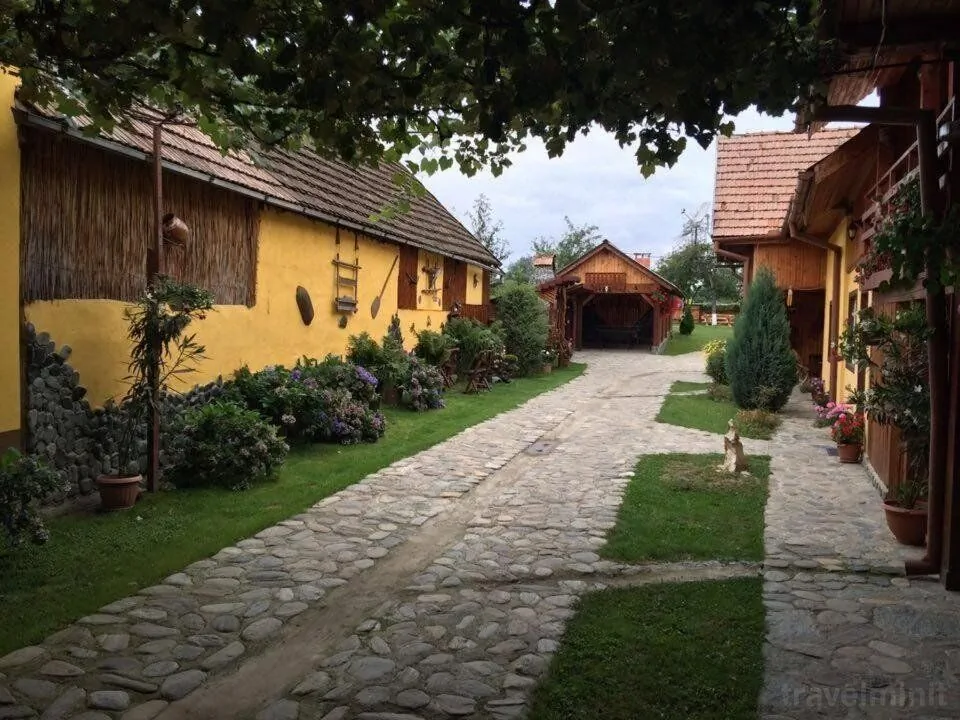 Pensiunea Bujor de Munte Cârțișoara – Cârţişoara, România