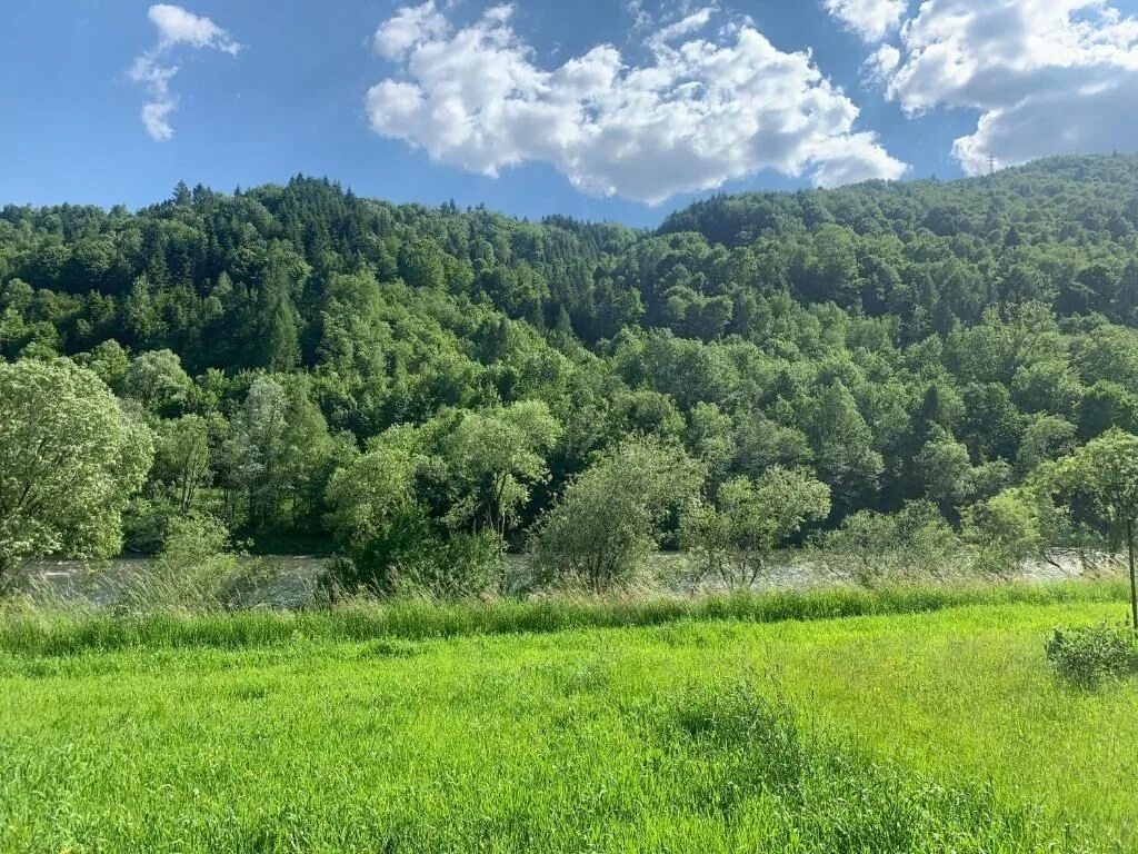 Domki nad Dunajcem Tylmanowa – Tylmanowa, Polska