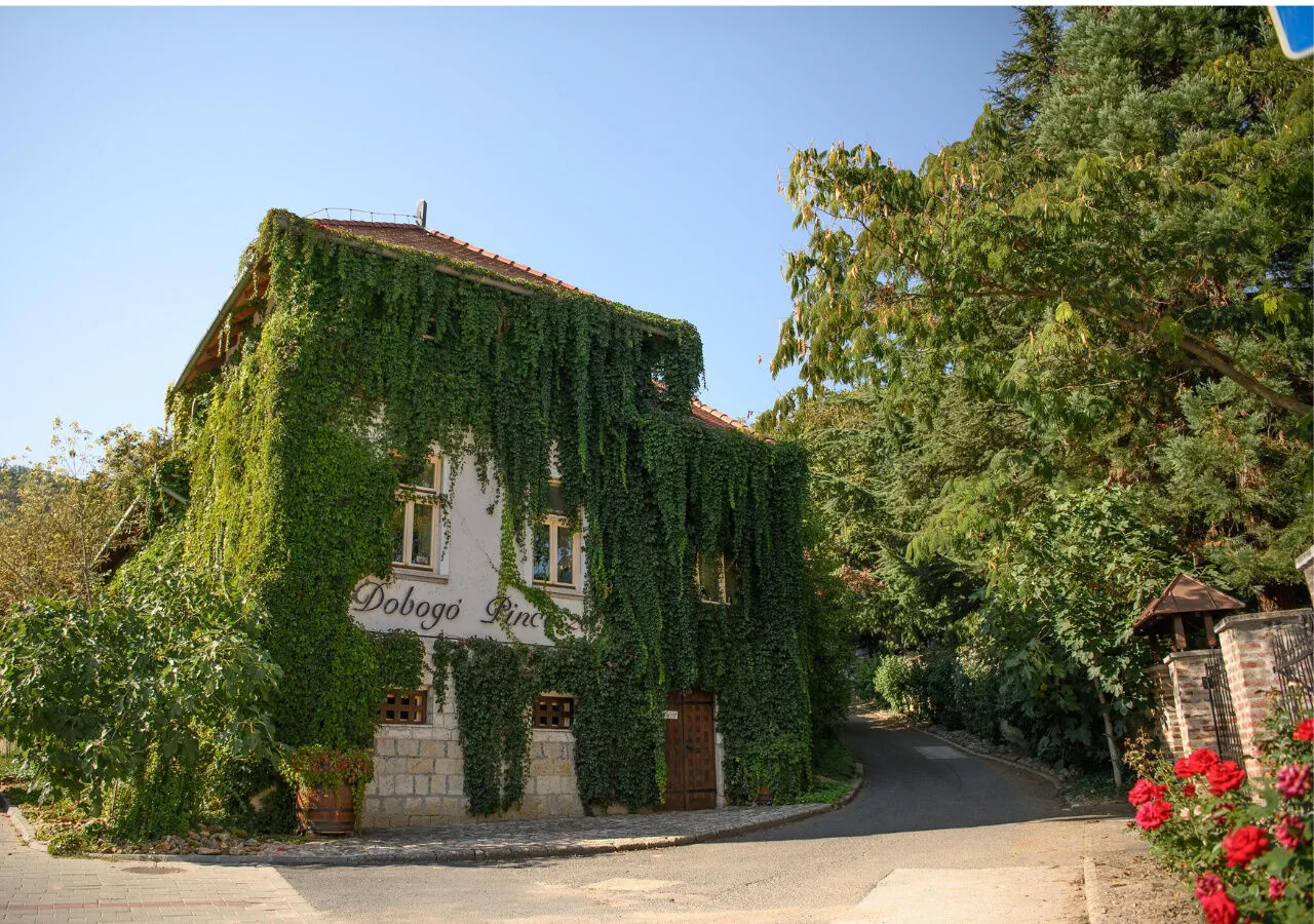 Villa Hanna Tokaj – Tokaj, Węgry