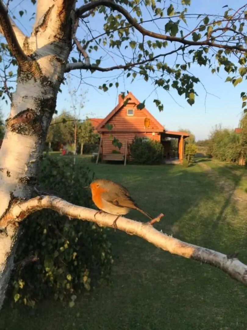 Apartamenty Liwia Park Niechorze - foto 7