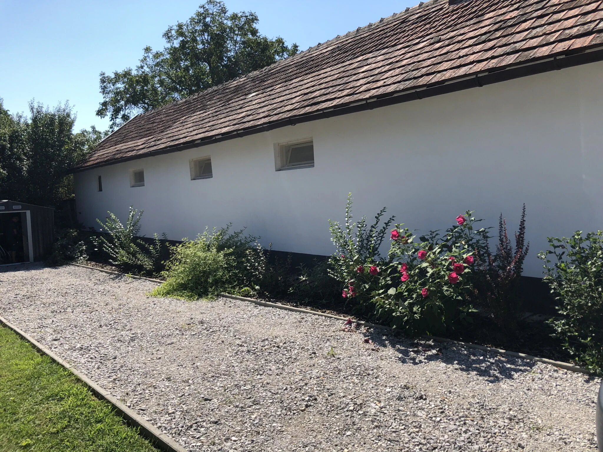 Berkenye Vendégház Abádszalók - foto 6