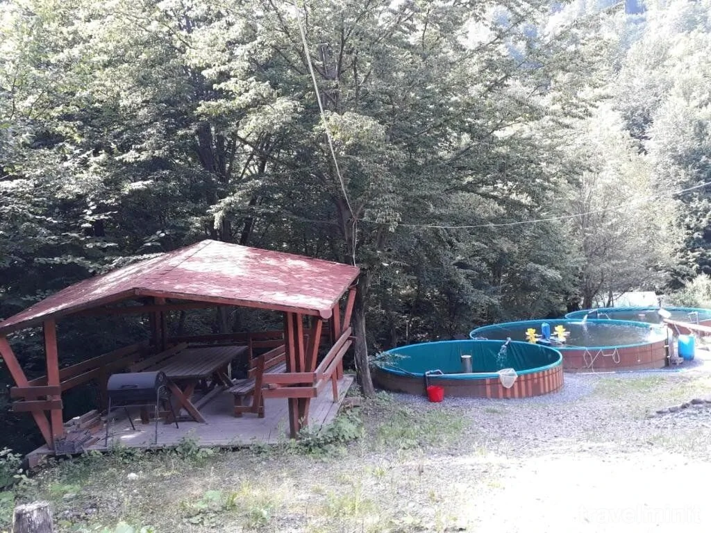 Cabana Alpha Chiuzbaia - foto 1
