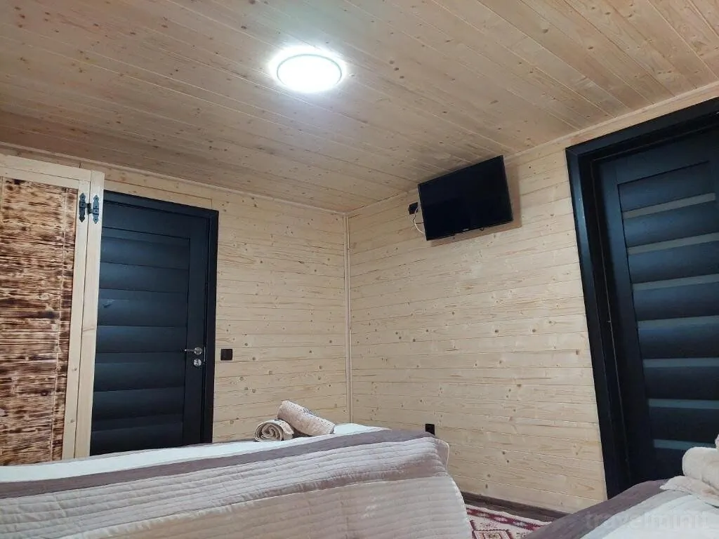 Cabana Alpha Chiuzbaia - foto 6