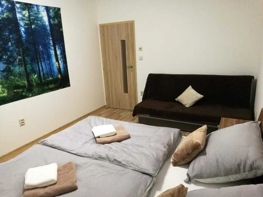 Apartmány BON Horní Bečva - foto 4