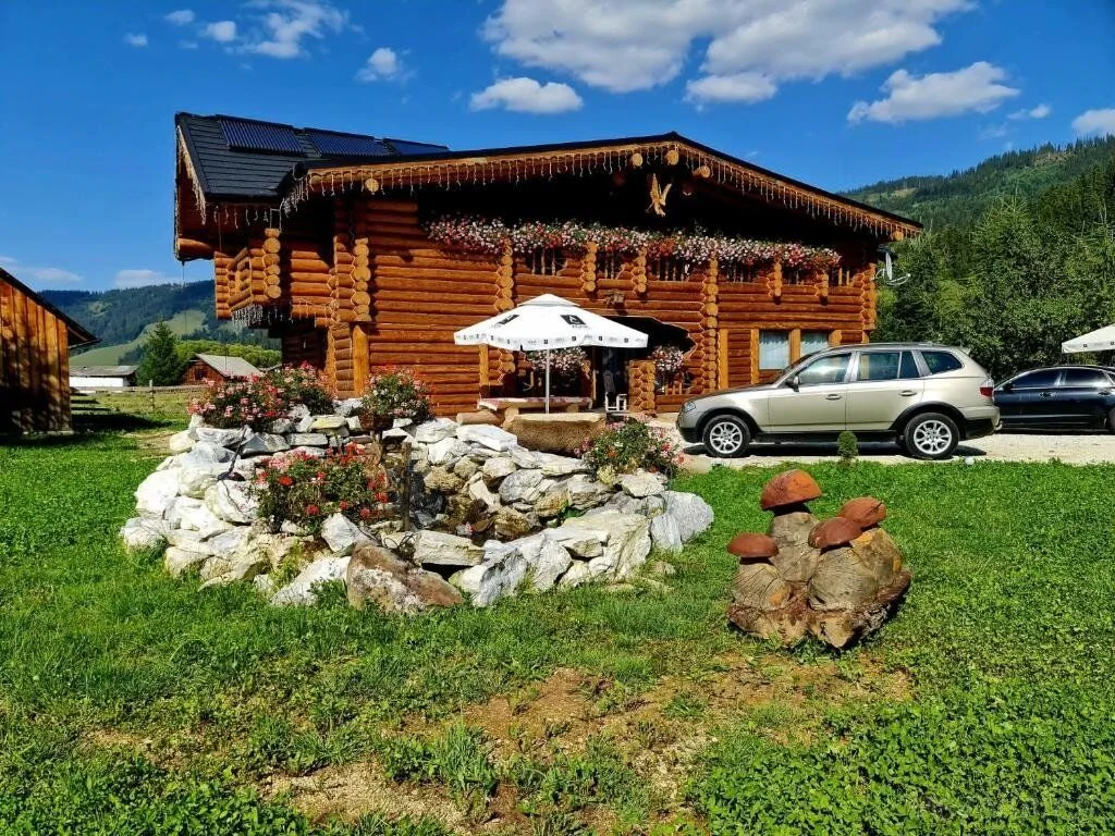 Pensiunea Laricea Panaci – Panaci, România
