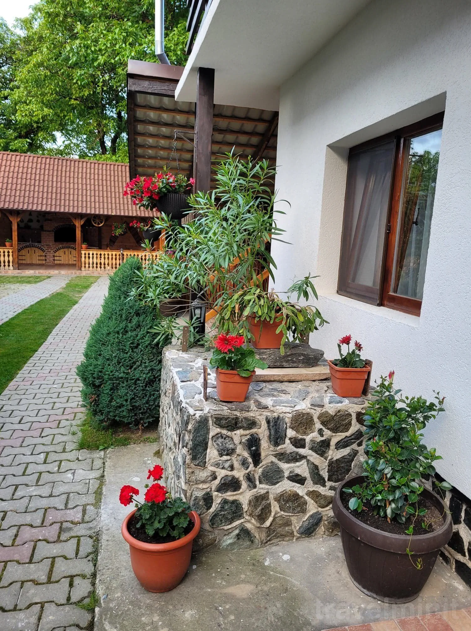 Pensiunea Casa Floare De Colț Cârțișoara – Cârţişoara, România
