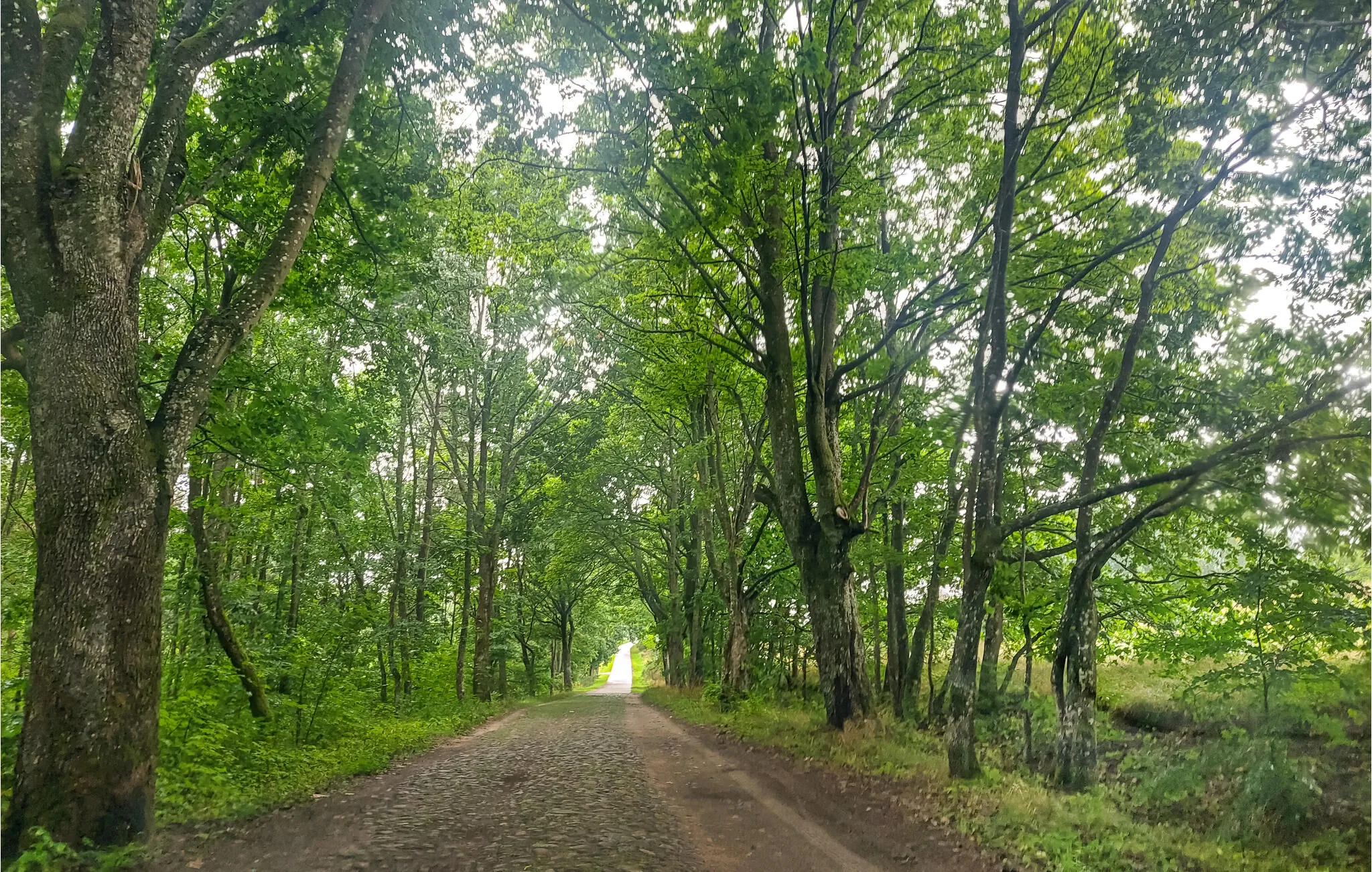 Vendégház Bytów - PKA900 - foto 8