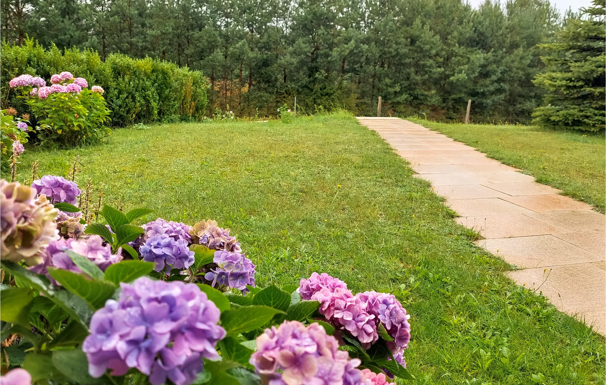Vendégház Bytów - PKA900 - foto 4