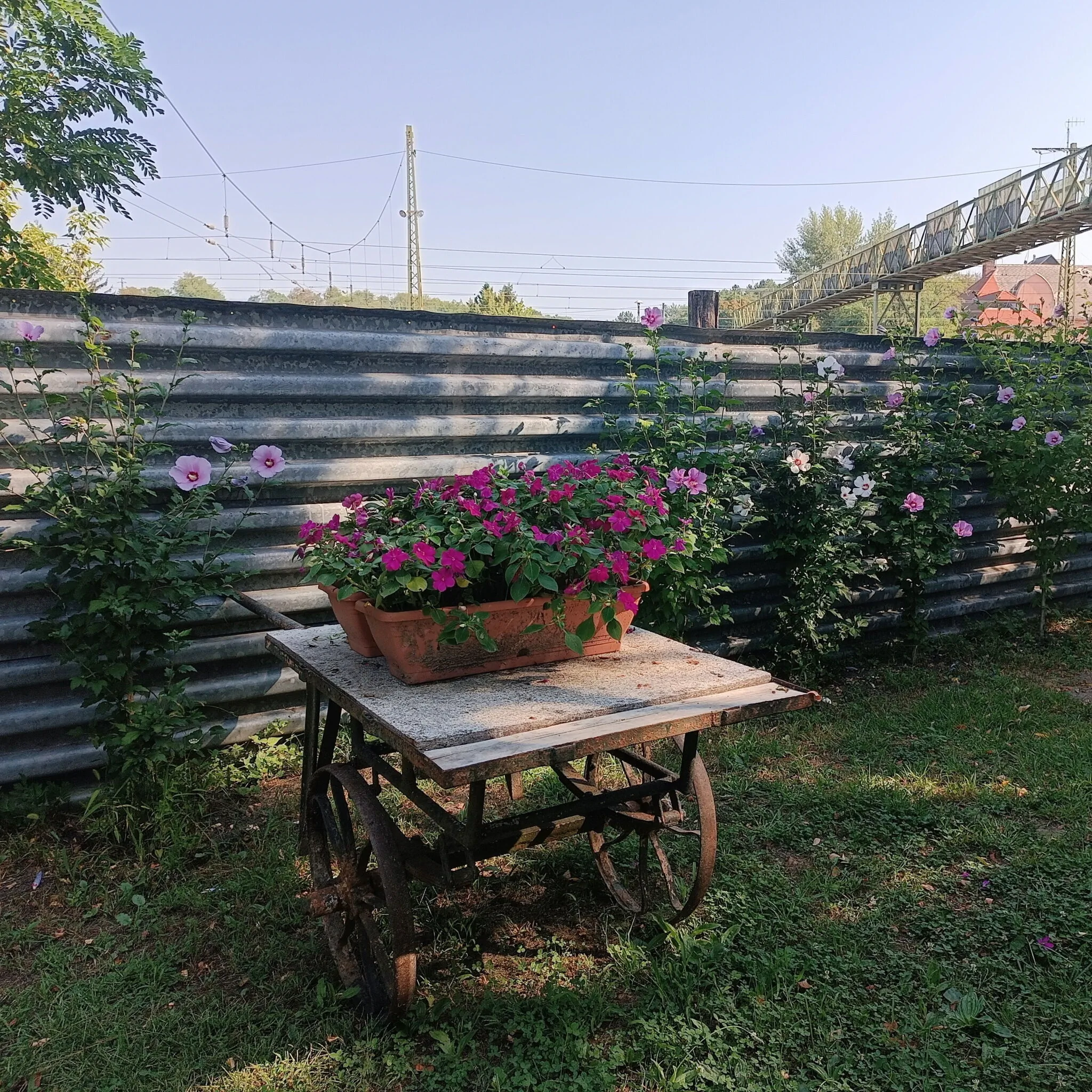 ToronySzoba Vendégház Szob – Szob, Ungaria