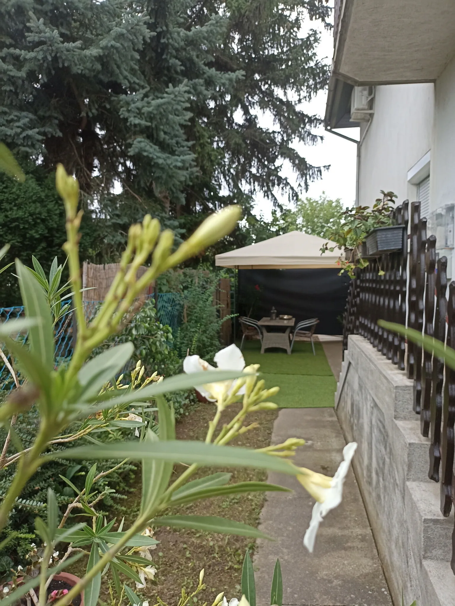 Orchidea Apartmanház Siófok – Siófok, Ungaria