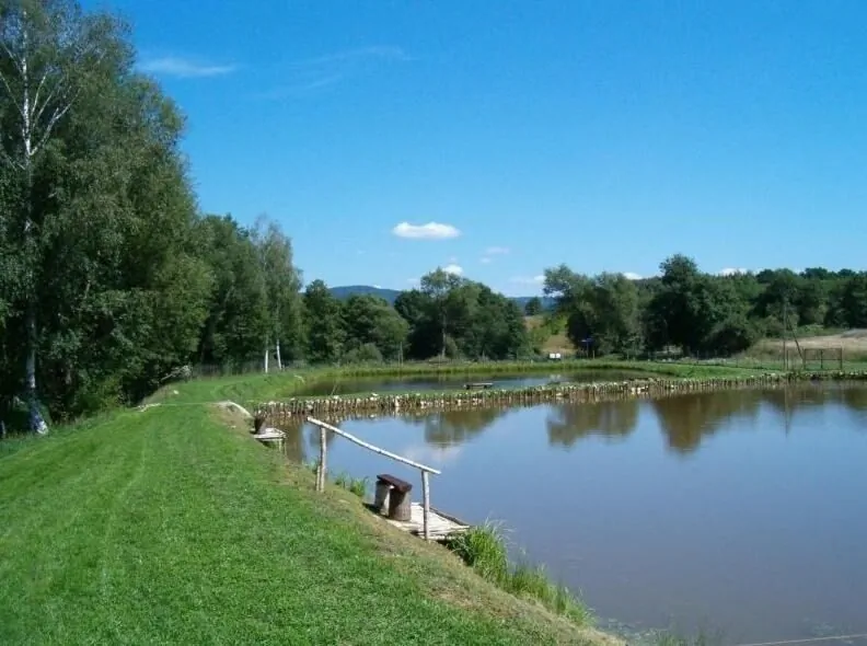 Kwatery Arizona City Kudowa-Zdrój – Kudowa-Zdrój, Polska