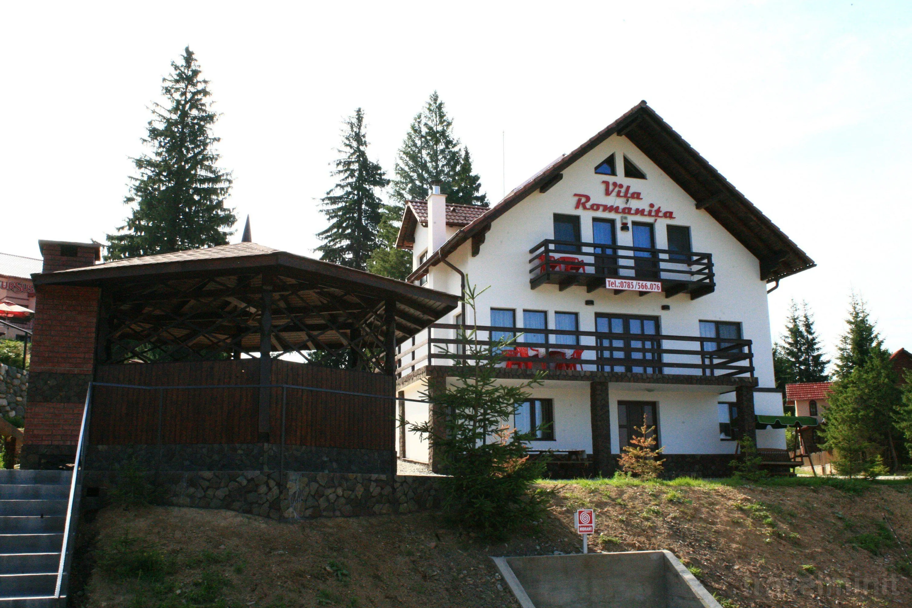 Vila Romanița Păltiniș - foto 1