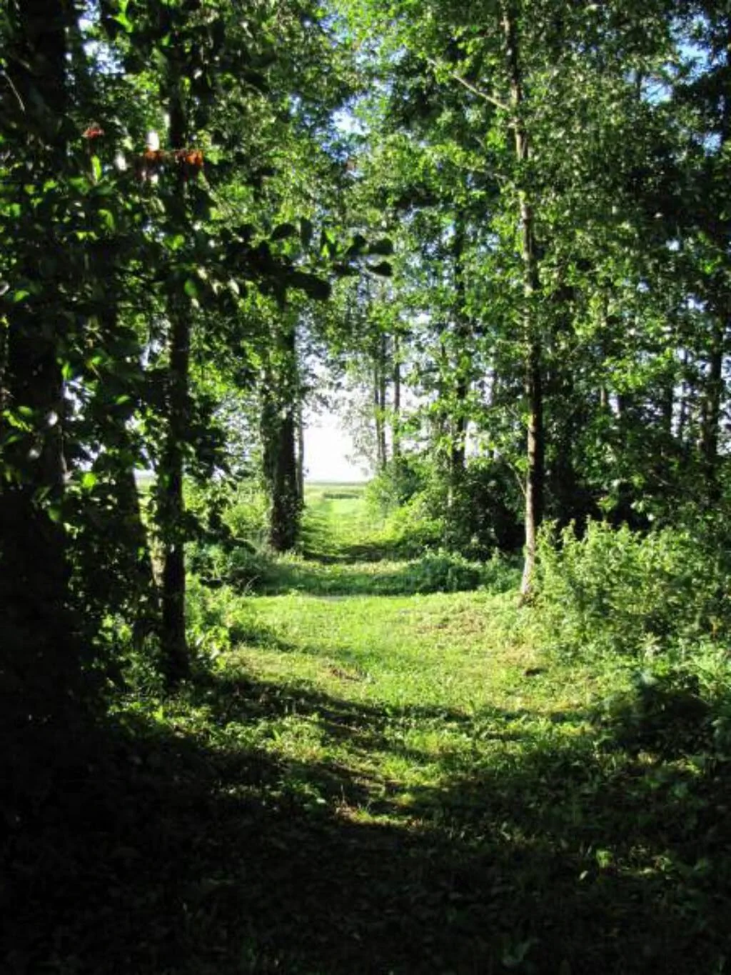Agroturystyka Pokoje U Sołtysa Dawidowizna – Goniądz, Polska