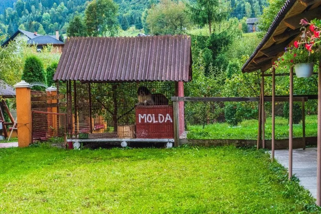 Casa Yustiniana Sadova – Sadova, Rumunsko