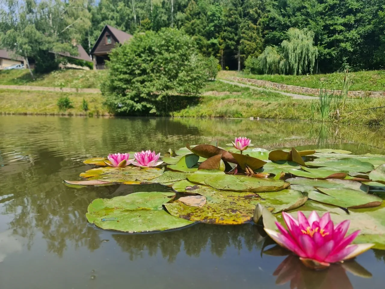 Domek El Coyote Solina – Solina, Polska