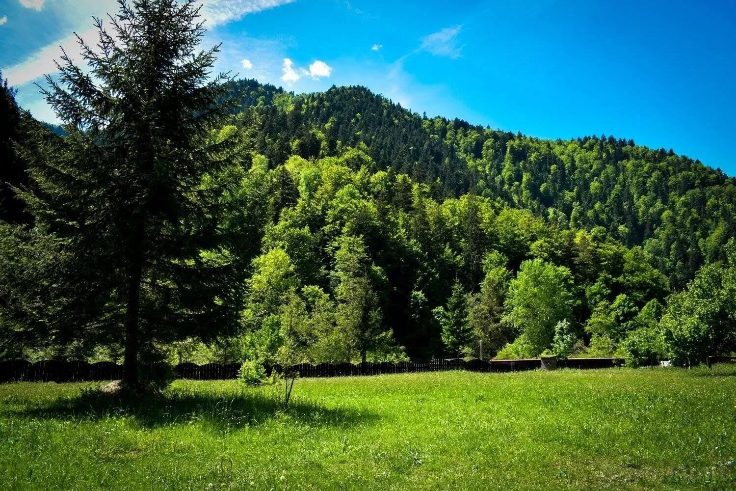 Casa Ella Sulța – Sulța, Rumunsko