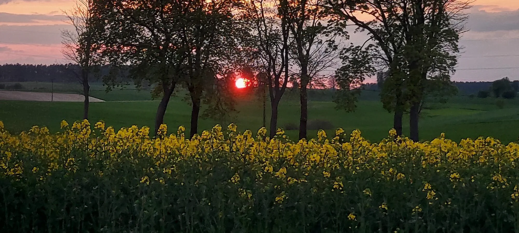 Gospodarstwo Agroturystyczne Kraina Choszcza – Choszczno, Polska