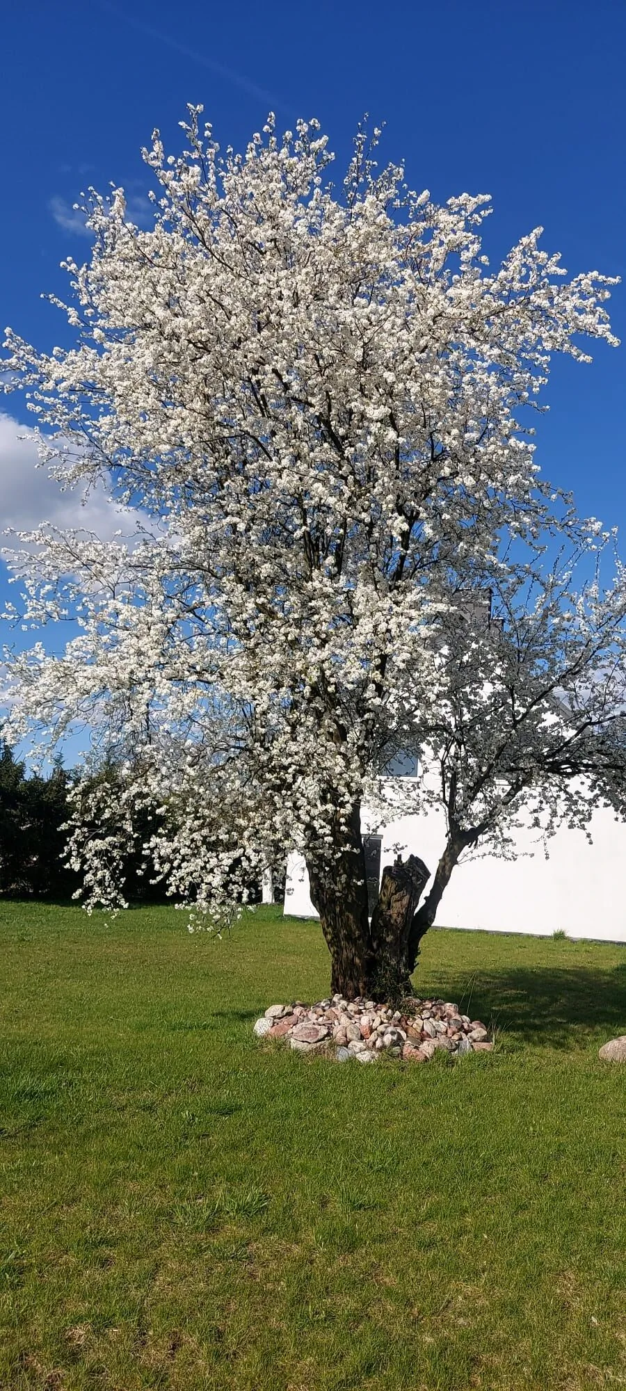 Gospodarstwo Agroturystyczne Kraina Choszcza – Choszczno, Polska