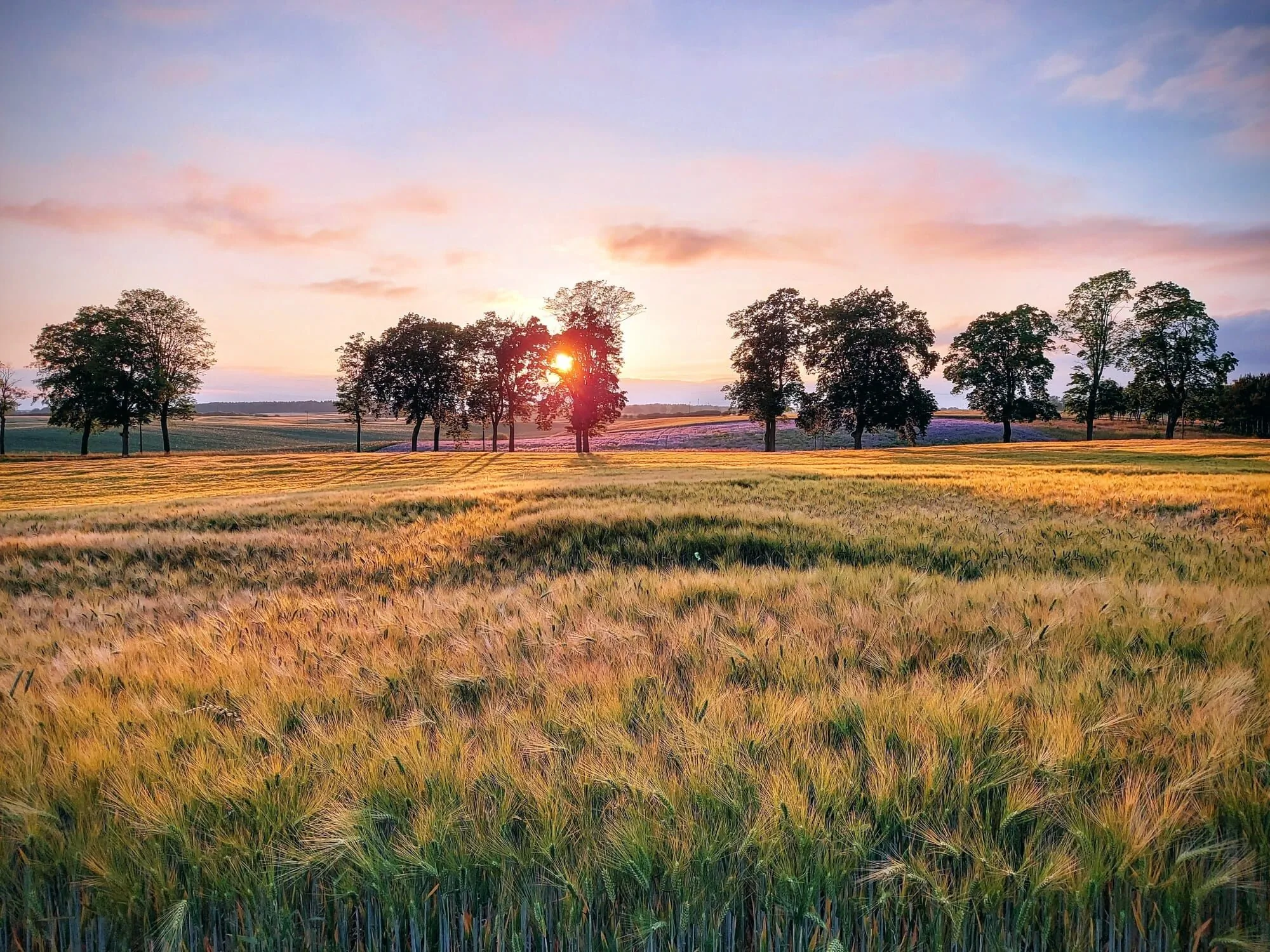 Gospodarstwo Agroturystyczne Kraina Choszcza – Choszczno, Polska